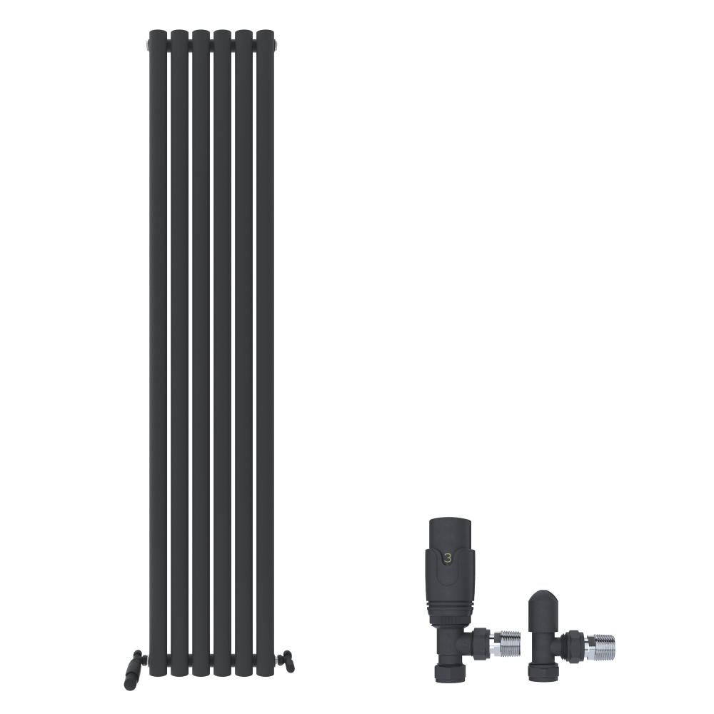 The iBathUK Strata Vertical Radiator, a black single oval panel designer radiator, is displayed next to two black and silver radiator valves against a white background.