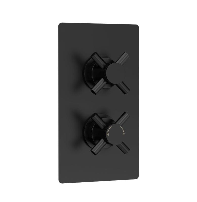 Axiom 2 Outlet Concealed Shower Valve With Diverter