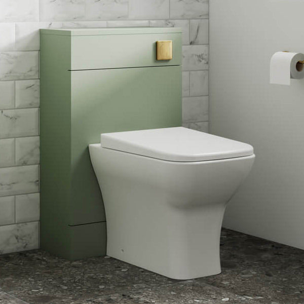 Rimless Back to Wall Toilets