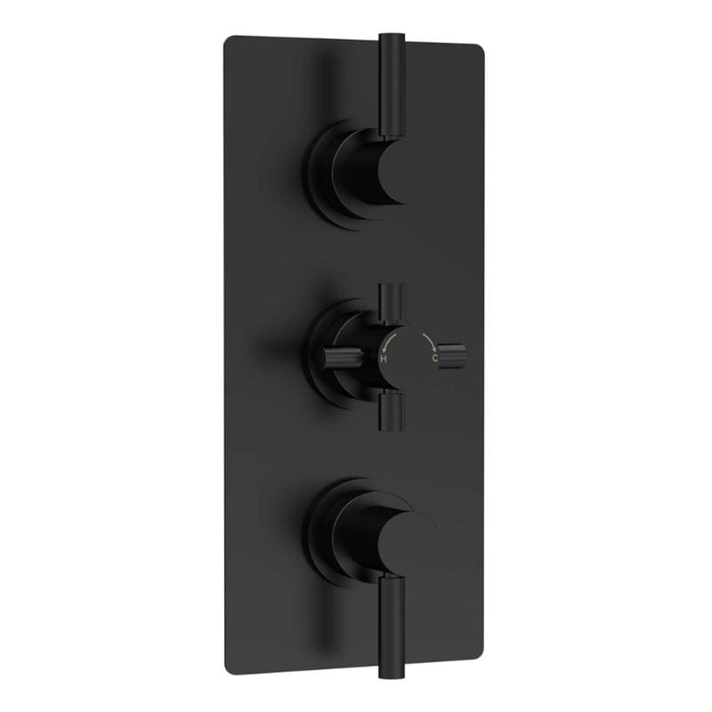 Axiom Thermostatic 2 Outlet Concealed Shower Valve