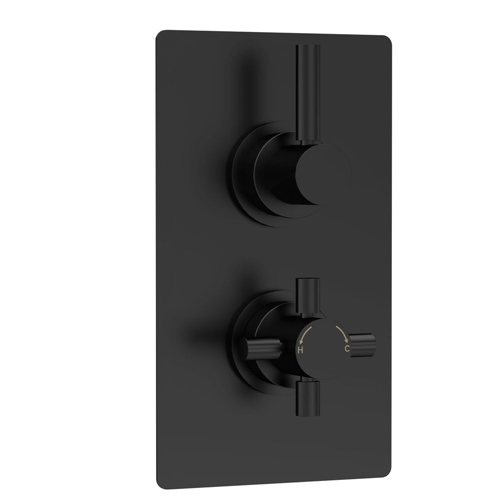 Axiom 2 Outlet Concealed Shower Valve With Diverter