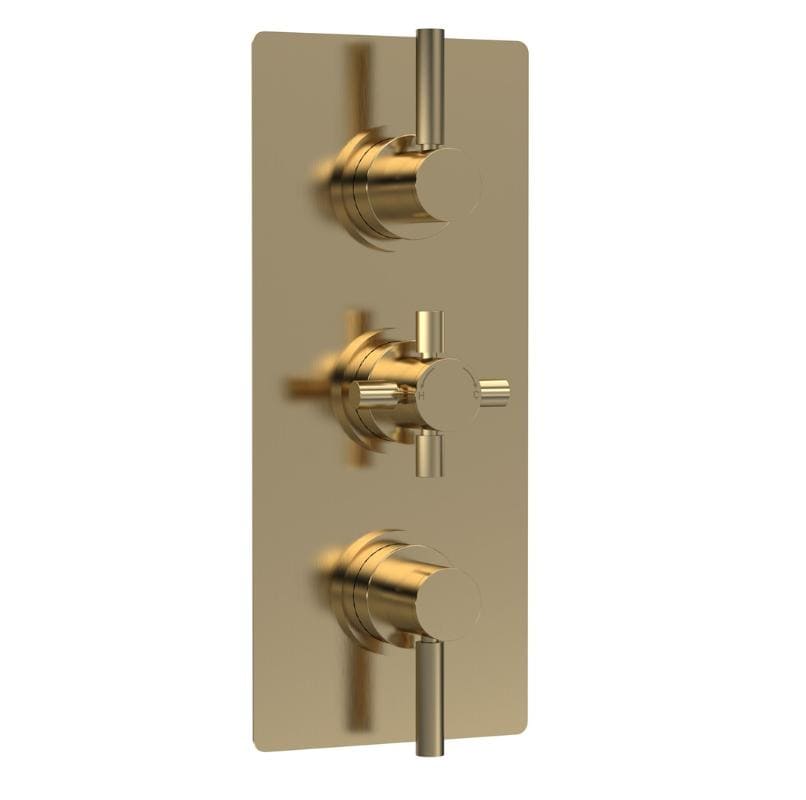 Axiom Thermostatic 2 Outlet Concealed Shower Valve