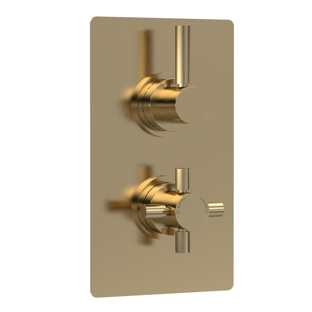 Axiom 2 Outlet Concealed Shower Valve With Diverter