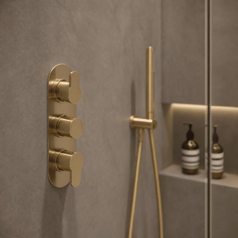 Astor 2 Outlet Thermostatic Concealed Shower Valve With Diverter