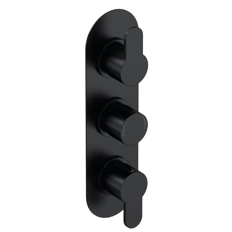 Astor 2 Outlet Thermostatic Concealed Shower Valve With Diverter