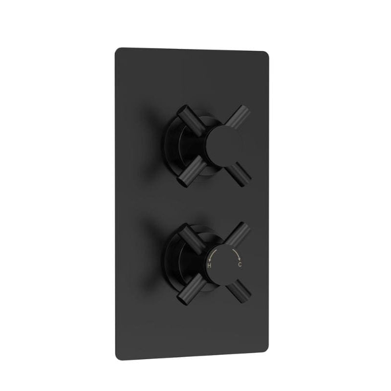 Axiom thermostatic 1 Outlet Crosshead Concealed Shower Valve