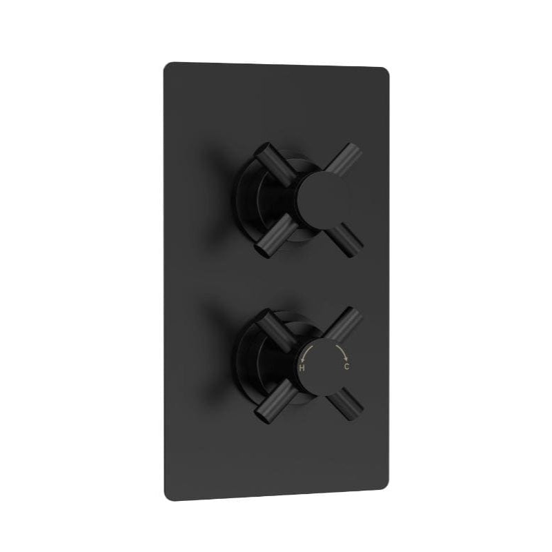 Axiom 2 Outlet Concealed Shower Valve With Diverter