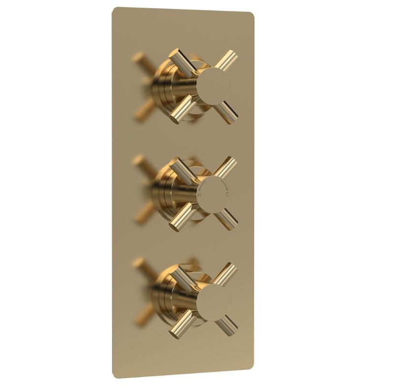Axiom 2 Outlet Thermostatic Crosshead Concealed Shower Valve