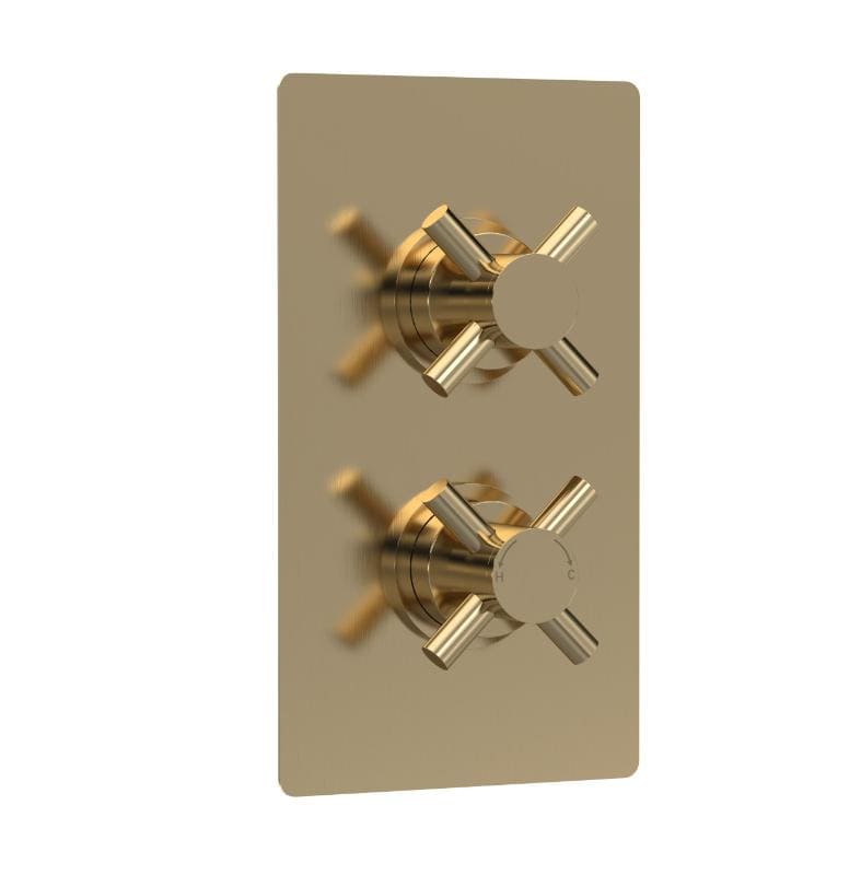 Axiom 2 Outlet Concealed Shower Valve With Diverter
