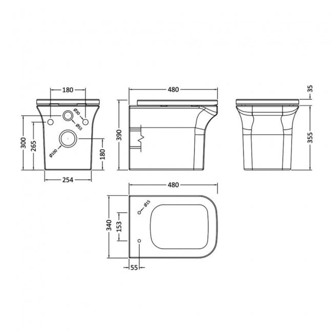 Reed Modern Wall Hung Toilet with Soft Close Seat - White