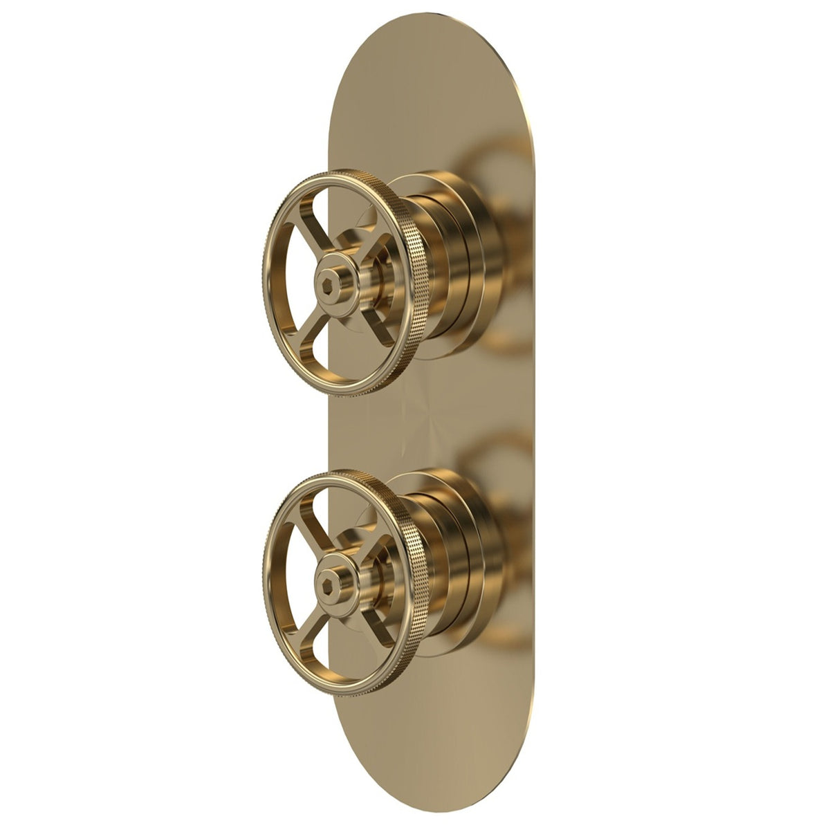 Revolve Traditional 2 Outlet Thermostatic Concealed Shower Valve  With Diverter