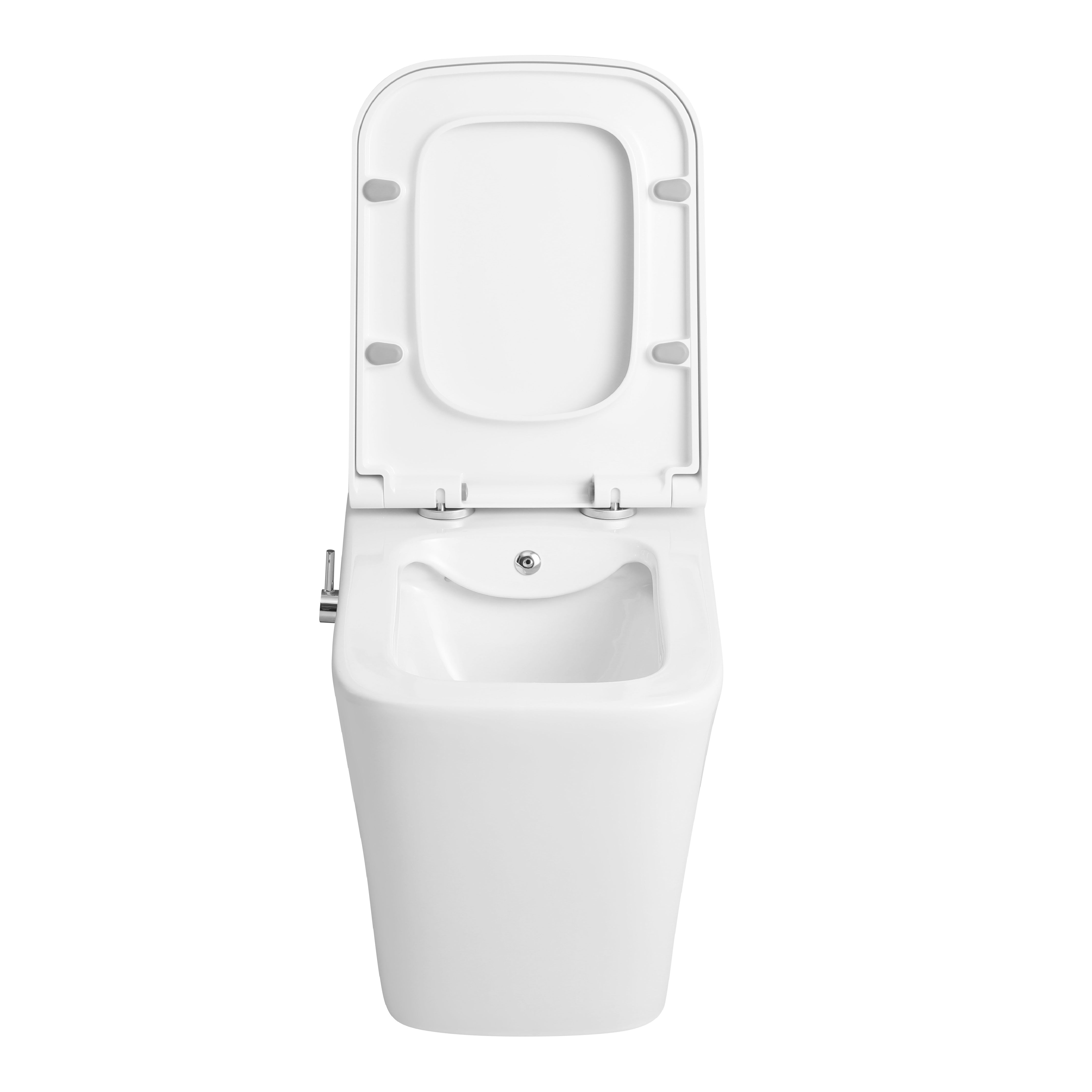 Purity Rimless Built-in Bidet Back to wall Toilet With Soft Close Seat & fixing Kit - White