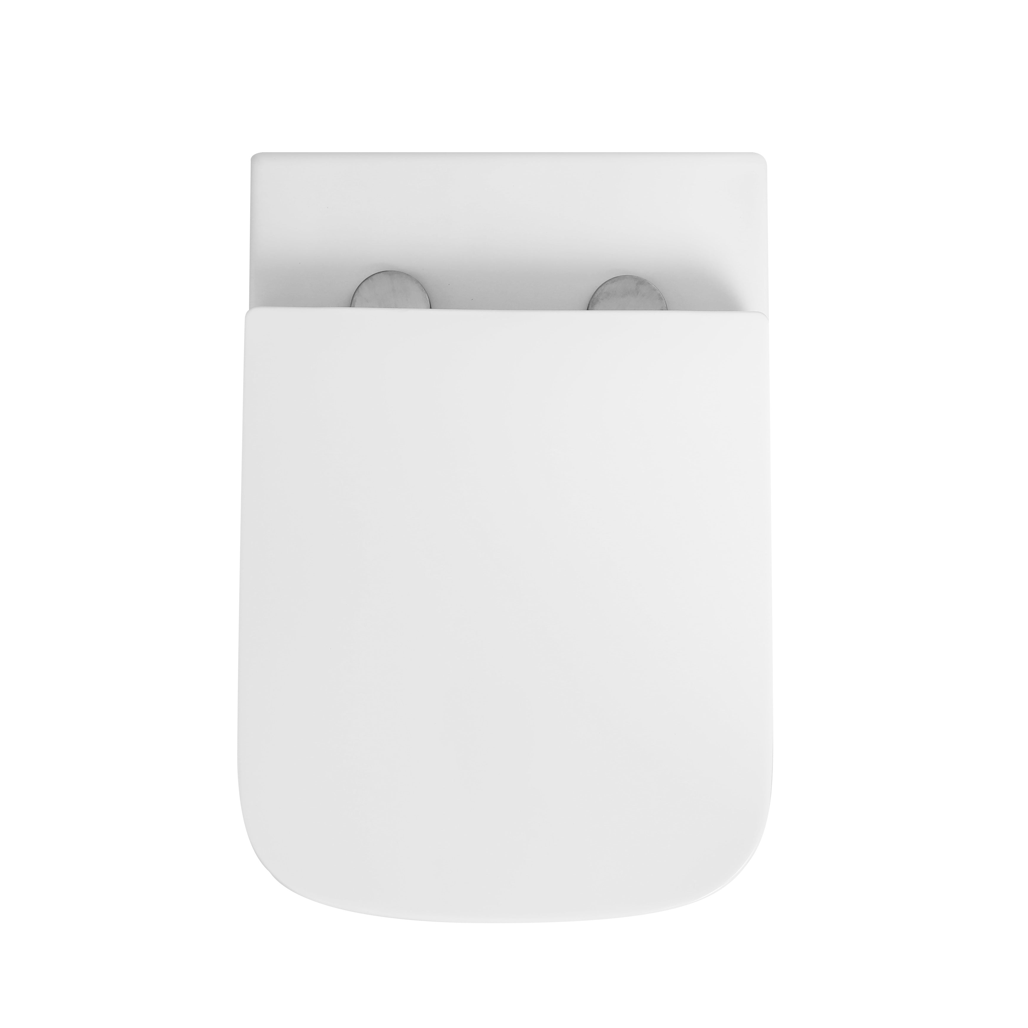 Venice Rimless Back to wall Toilet With Soft Close Seat Options & fixing Kit - White