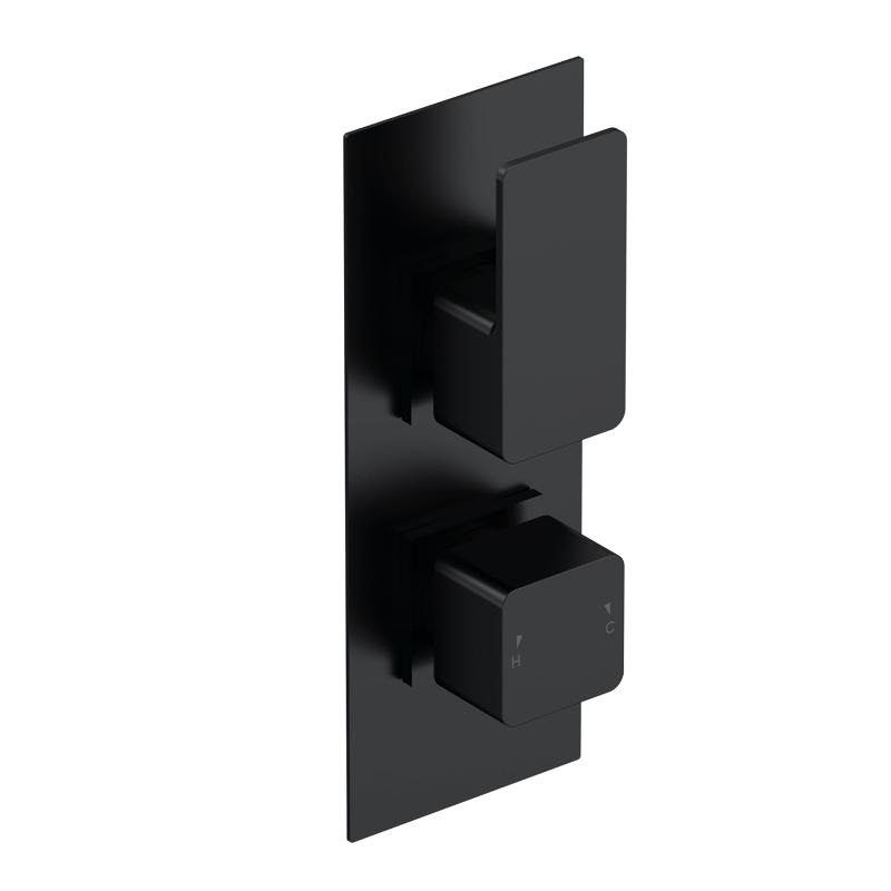 Sterling Thermostatic 2 Outlet Concealed Shower Valve With Diverter