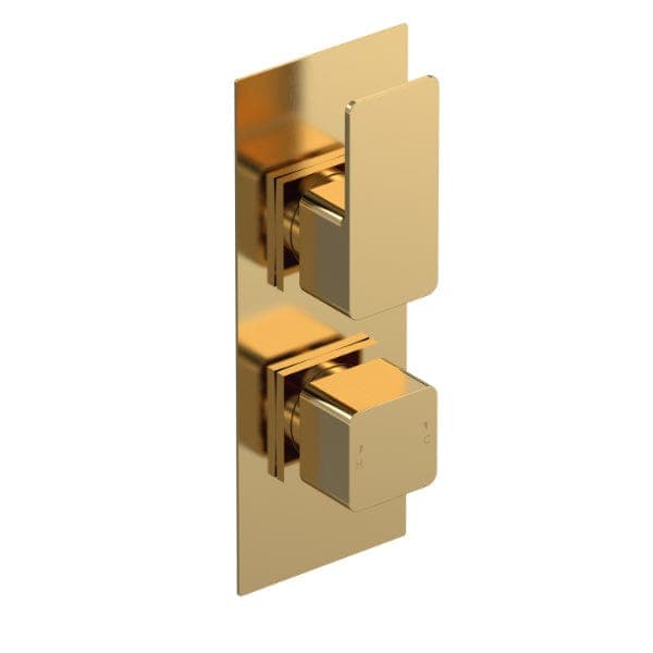 Nuie Concealed Shower Valves,Thermostatic Shower Valves Brushed Brass Nuie Windon Dual Handle Thermostatic Concealed Shower Valve
